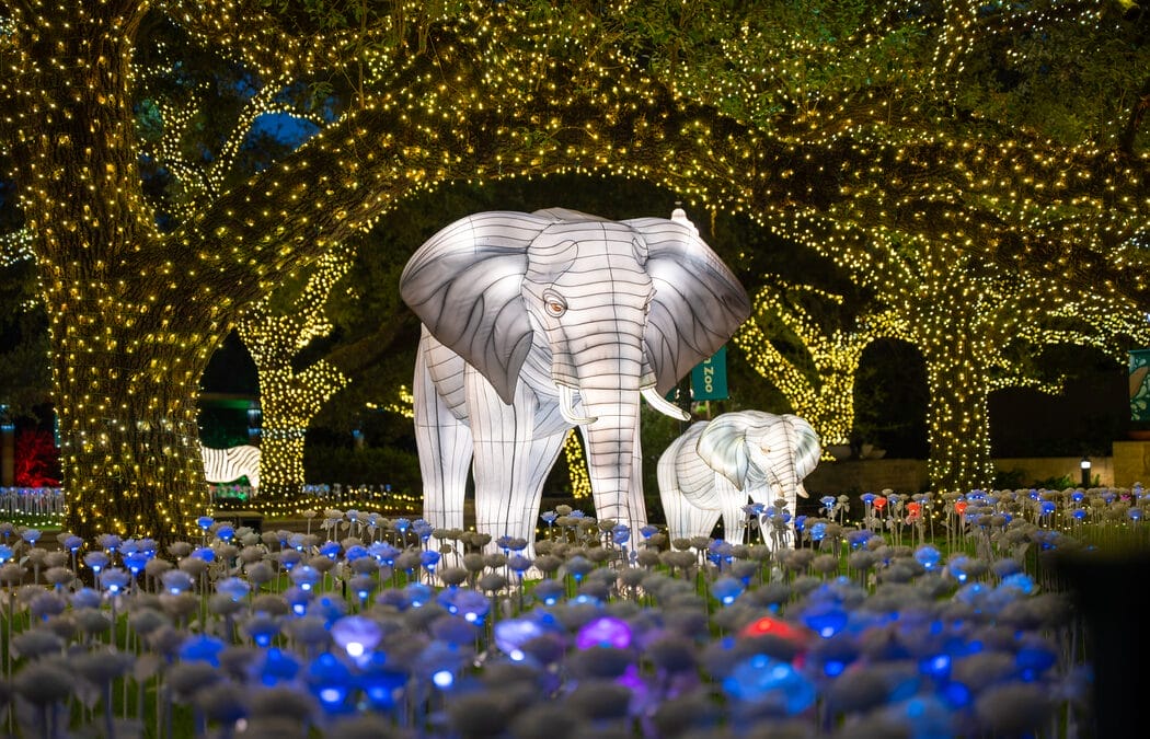 TXU Energy presents Zoo Lights