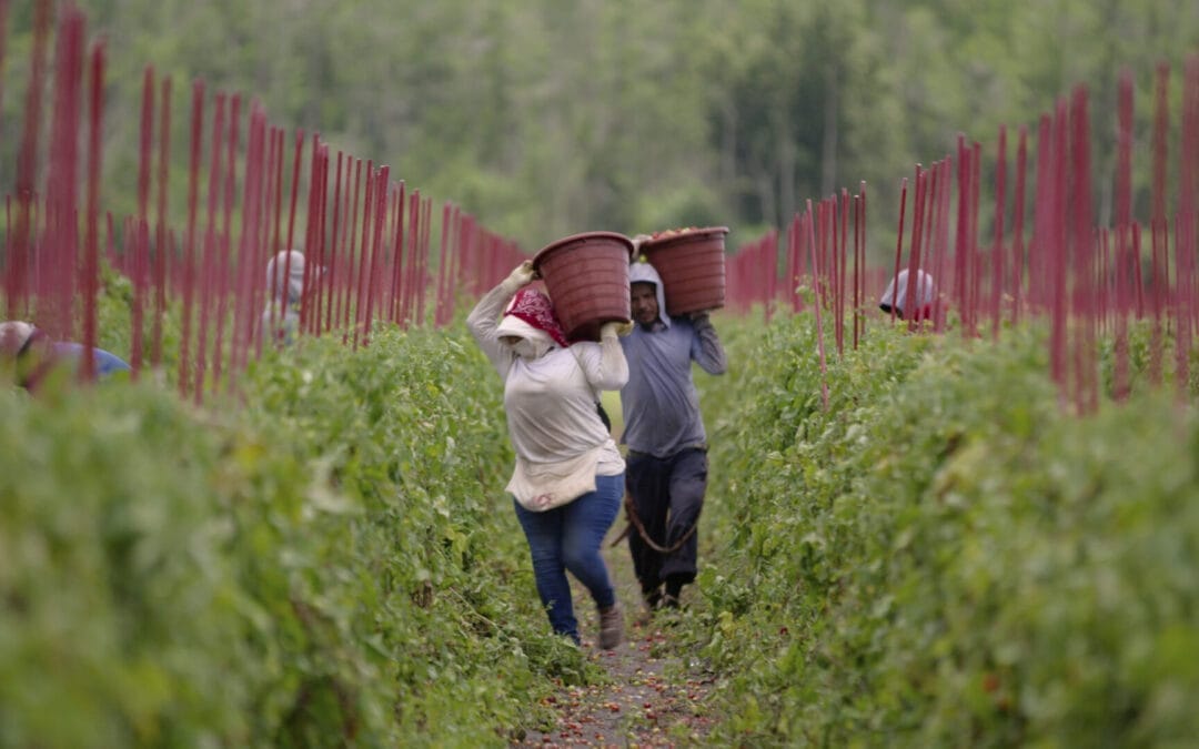 Food, Inc. 2: Back for Seconds