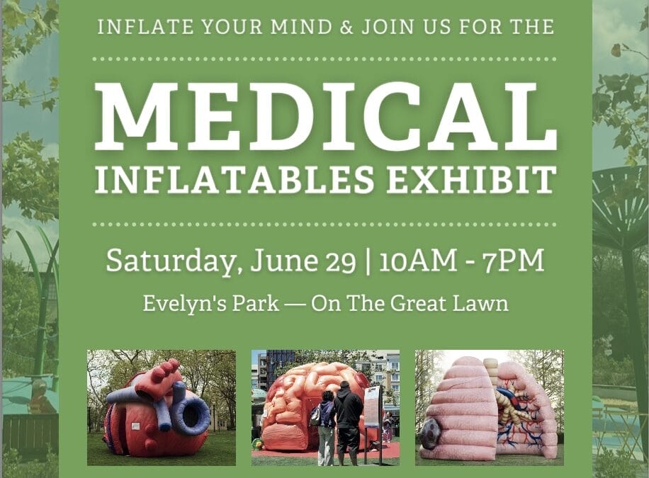 Medical Inflatables Exhibit at Evelyn’s Park Conservancy