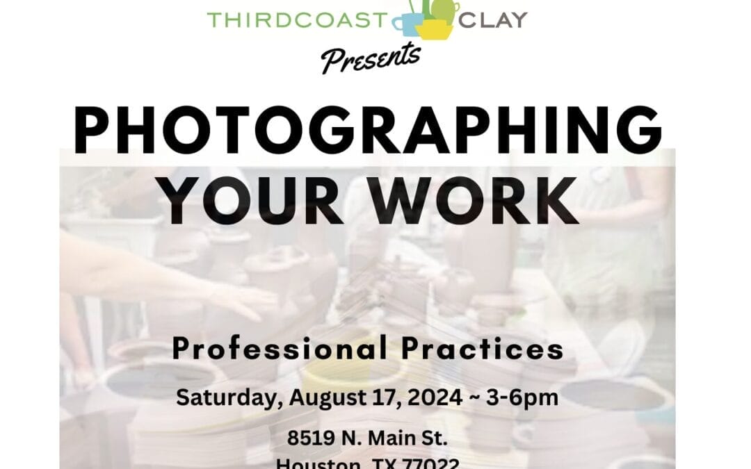 Professional Practices: Picture Perfect