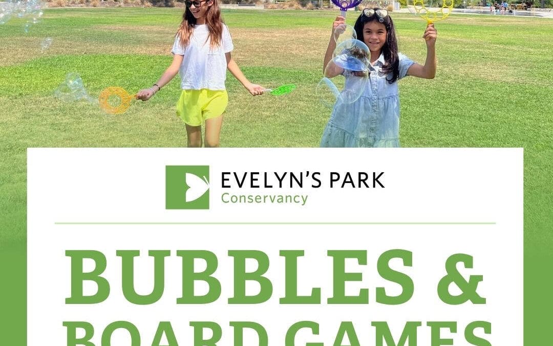 Bubbles & Board Games at Evelyn’s Park Conservancy